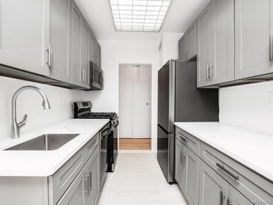 Gorgeous Totally Renovated Spacious One Bedroom in Riverdale's - photo 11