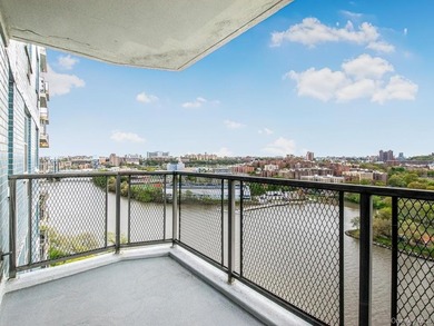 Gorgeous Totally Renovated Spacious One Bedroom in Riverdale's - photo 18
