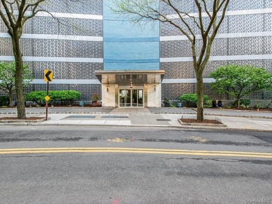 Gorgeous Totally Renovated Spacious One Bedroom in Riverdale's - photo 25