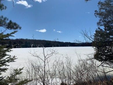 Lake Lot SOLD! in Presque  Isle, Wisconsin