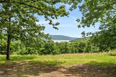 Escape to the Ozarks at 13111 Rib Lane in Mountainburg, Arkansas - photo 11