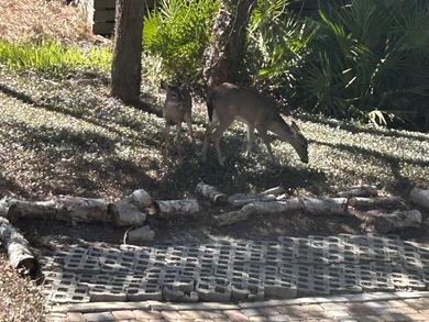Located in one of the best neighborhoods on 30a - Beach - photo 9