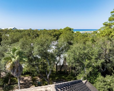 Located in one of the best neighborhoods on 30a - Beach - photo 10