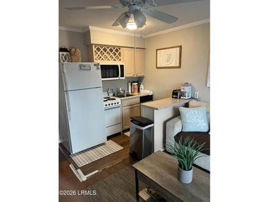 Unit 204 at the sea side villas offers direct views to the ocean - photo 10