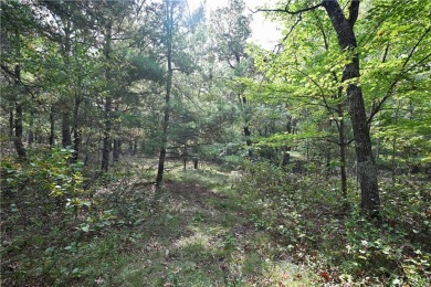 Lake Acreage For Sale in Minong, Wisconsin