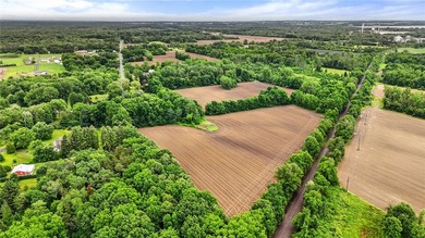 A truly rare and versatile offering in the heart of Ontario - photo 5