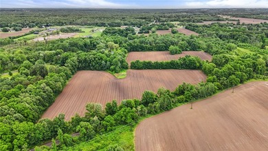 A truly rare and versatile offering in the heart of Ontario - photo 6