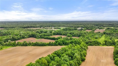A truly rare and versatile offering in the heart of Ontario - photo 7