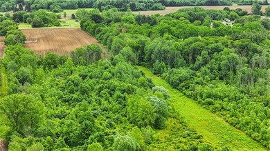 A truly rare and versatile offering in the heart of Ontario - photo 8