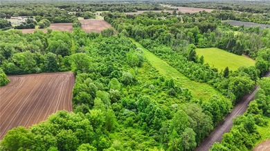 A truly rare and versatile offering in the heart of Ontario - photo 9