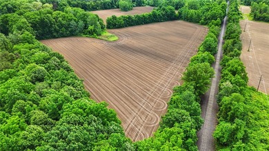 A truly rare and versatile offering in the heart of Ontario - photo 10