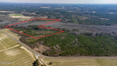 (private lake, pond, coastal) Acreage For Sale in Tar Heel North Carolina