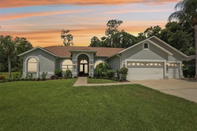 Lake Home For Sale in Riverview, Florida