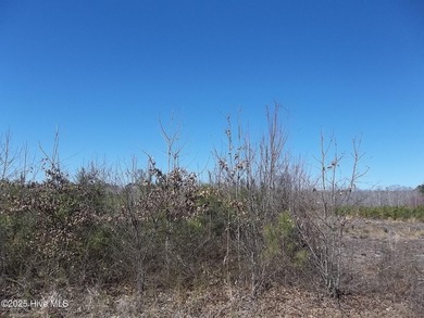 Perquimans River Lot For Sale in New Hope North Carolina