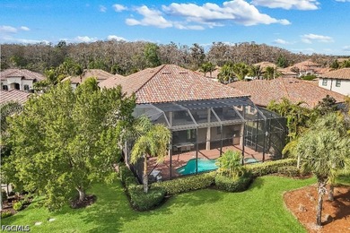 A Rare Opportunity to Own the Only Chapel Hill Model in Bonita - photo 49