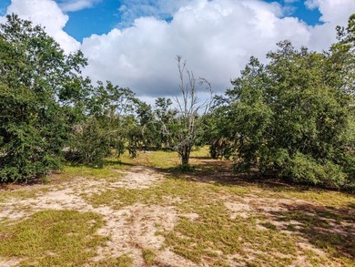 Charming old Florida cracker-style home on 4.2 acres in - photo 10