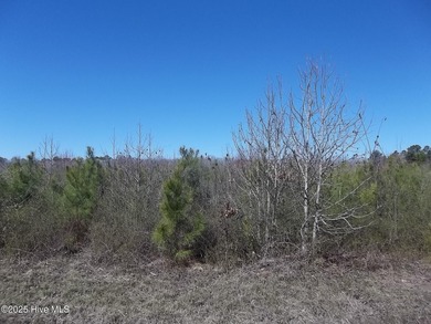 Perquimans River Lot For Sale in New Hope North Carolina