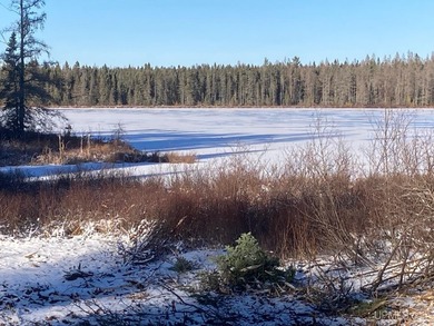 Once in a lifetime opportunity to own a sprawling 728 Acres - photo 34