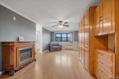 Renovated move in ready Studio located in the Executive House - photo 2