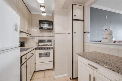Renovated move in ready Studio located in the Executive House - photo 7