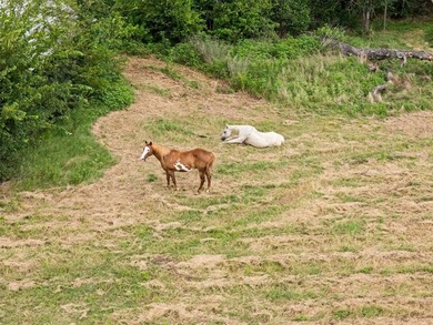 (private lake, pond, creek) Acreage Active Under Contract in Grand Saline Texas