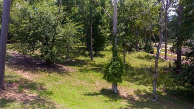 Want to build your home with Lakefront Views from every room?