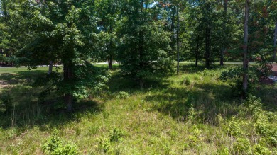 Want to build your home with Lakefront Views from every room?