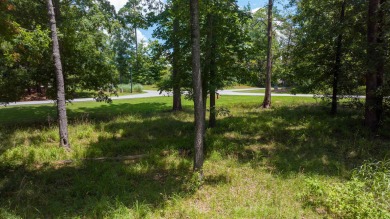 Want to build your home with Lakefront Views from every room?