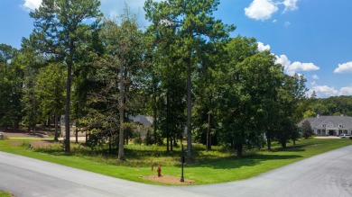 Want to build your home with Lakefront Views from every room?