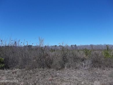 Perquimans River Lot Sale Pending in New Hope North Carolina