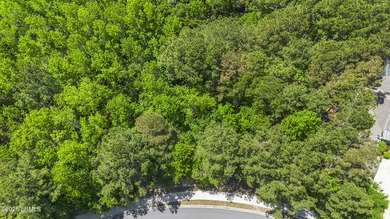 Build your dream home on this beautiful homesite in the - photo 7