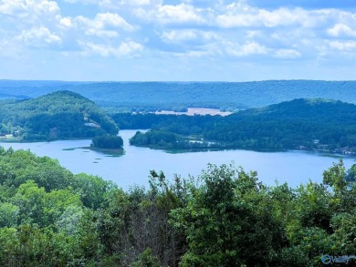 Weiss Lake Acreage For Sale in Cedar Bluff Alabama