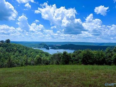Build your dream home & enjoy the view from this 2-acre lot! The - photo 2