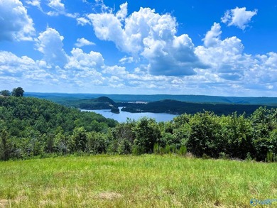 Build your dream home & enjoy the view from this 2-acre lot! The - photo 3