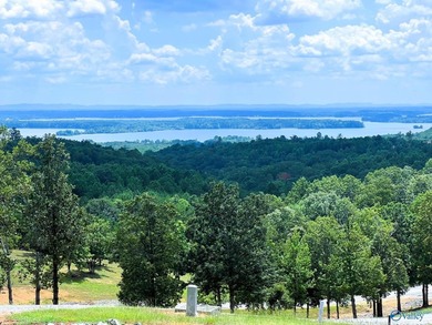 Build your dream home & enjoy the view from this 2-acre lot! The - photo 4