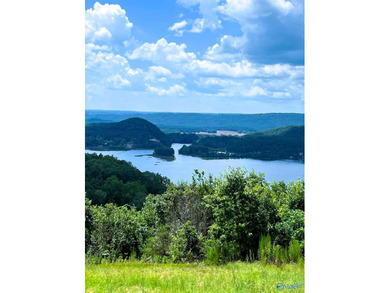 Build your dream home & enjoy the view from this 2-acre lot! The - photo 5