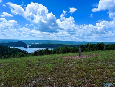 Build your dream home & enjoy the view from this 2-acre lot! The - photo 6