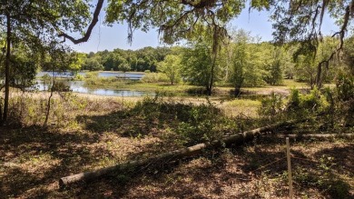 Lake Lot For Sale in Old Town, Florida