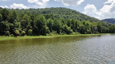 Lake Acreage For Sale in Ashville, Alabama