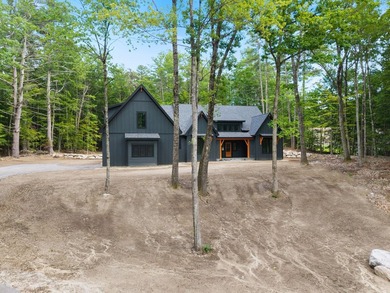 Deeded boat slip rights on Big Sebago Lake! Hop on your golf - photo 47