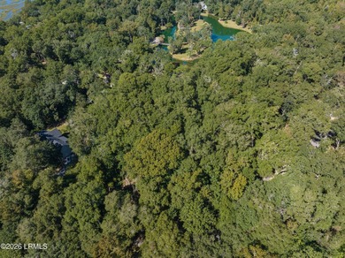 Gorgeous 1.13 acre lot on Lake Izard in the gated waterfront - photo 3