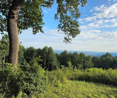 (private lake, pond, creek) Acreage For Sale in Hillsville Virginia