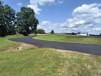 This is a private air strip with a 3,000 ft. paved runway next - photo 2