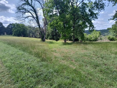 This is a private air strip with a 3,000 ft. paved runway next - photo 3