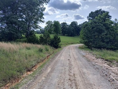 This is a private air strip with a 3,000 ft. paved runway next - photo 4
