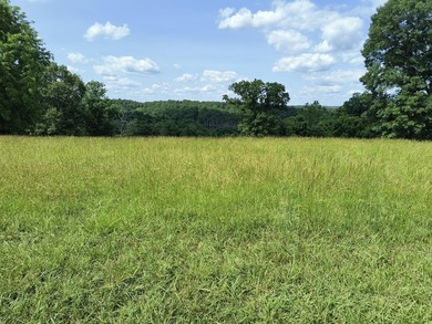 This is a private air strip with a 3,000 ft. paved runway next - photo 5