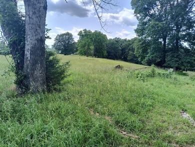 This is a private air strip with a 3,000 ft. paved runway next - photo 7