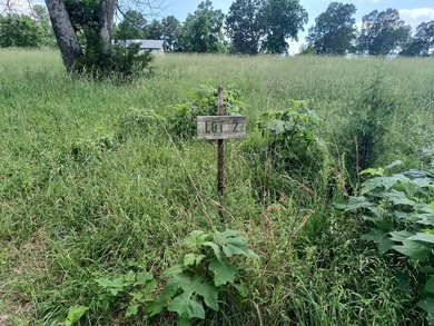 This is a private air strip with a 3,000 ft. paved runway next - photo 8