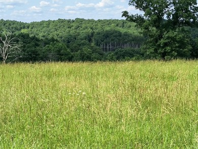 This is a private air strip with a 3,000 ft. paved runway next - photo 9