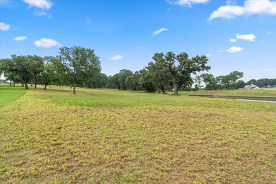 Build your dream lakefront home on Richland Chambers Lake, the - photo 9
